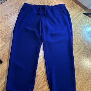 J. Crew Blue Ankle Cropped Pants